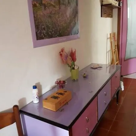 Apuane * 米努茨安诺